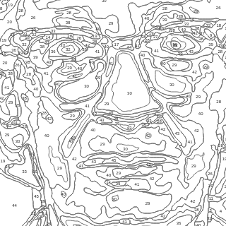 The corresponding face-detail window from the 48-colour numbered pattern