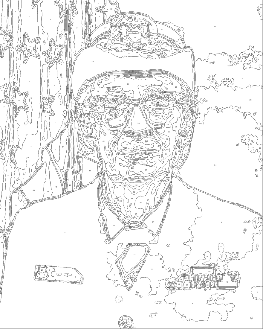 Saved numbered pattern of the same portrait with 48 colours